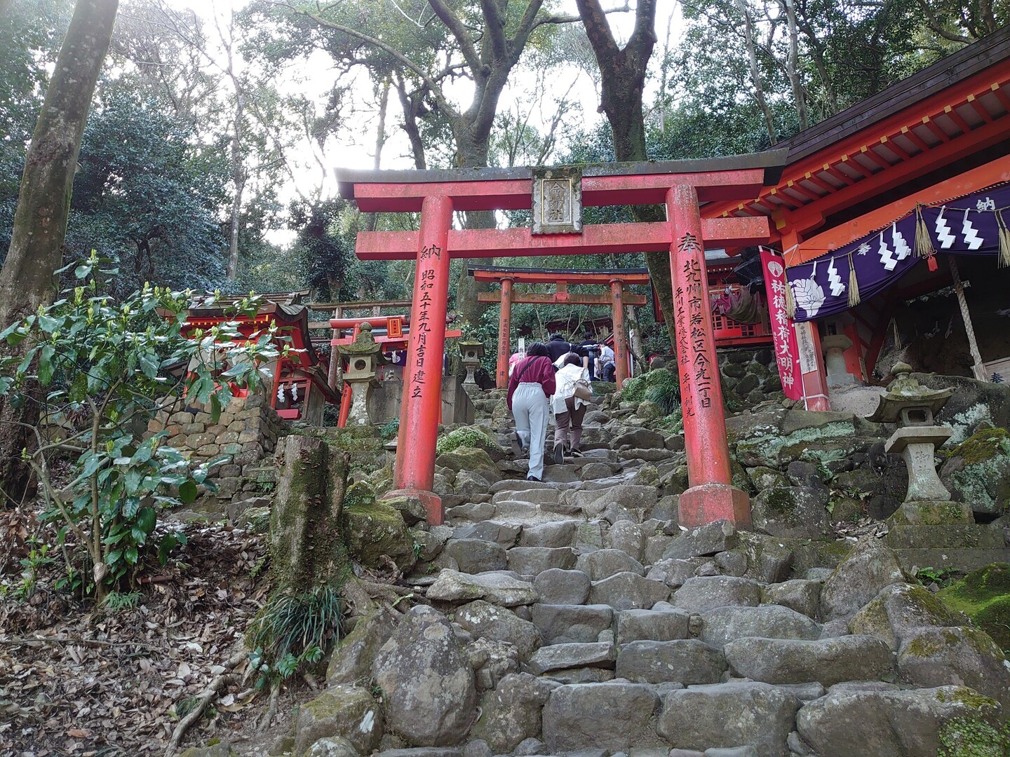 祐徳稲荷神社奥の院 03 21 K Yoshidaさんの多良岳 経ヶ岳 五家原岳の活動日記 Yamap ヤマップ