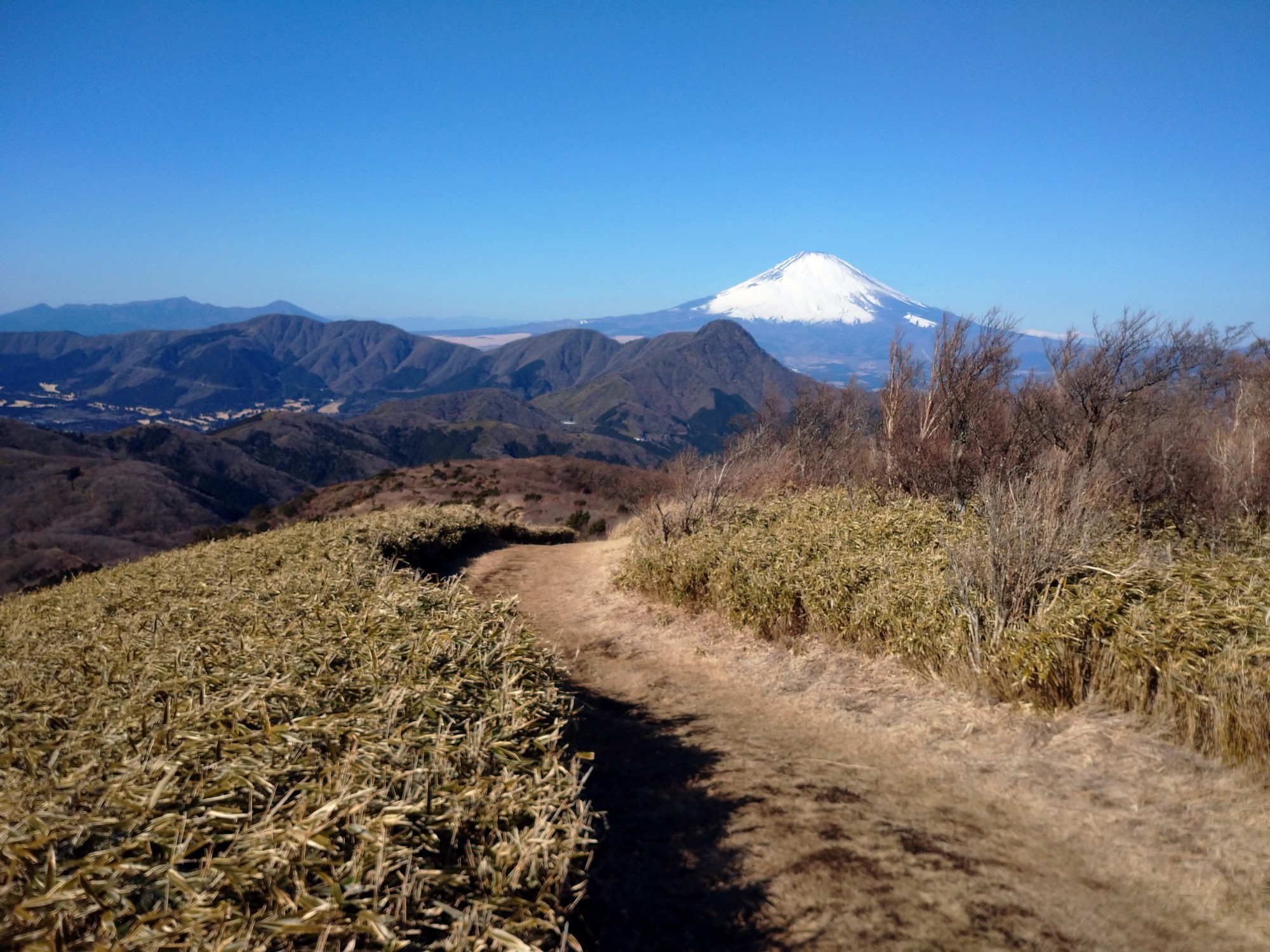 箱根 箱根外輪山一周 ガイリーン アマっちさんの箱根山 神山の活動データ Yamap ヤマップ
