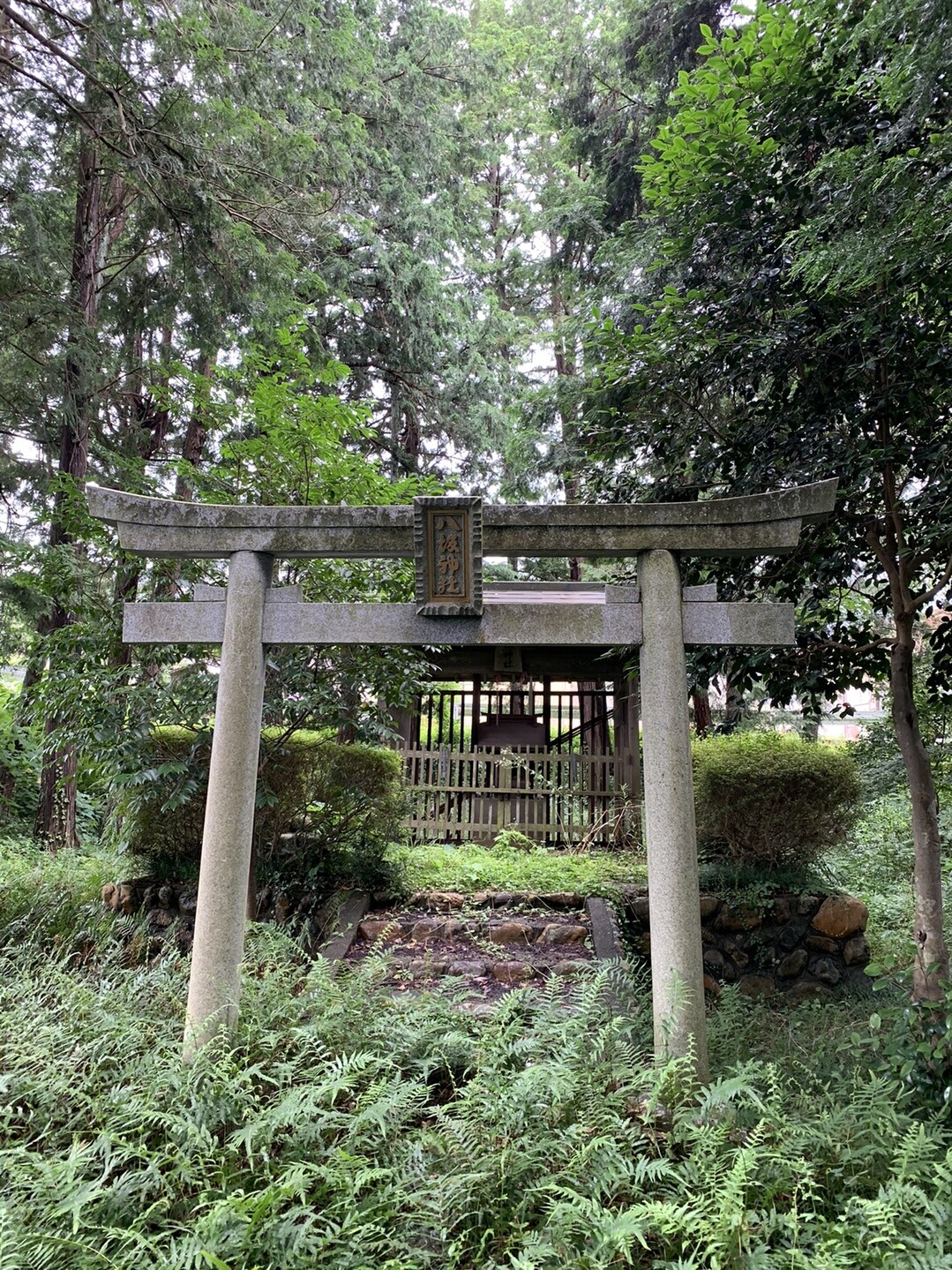 神社を繋ぎ 四尾山周回 Soraさんの由良川の活動日記 Yamap ヤマップ