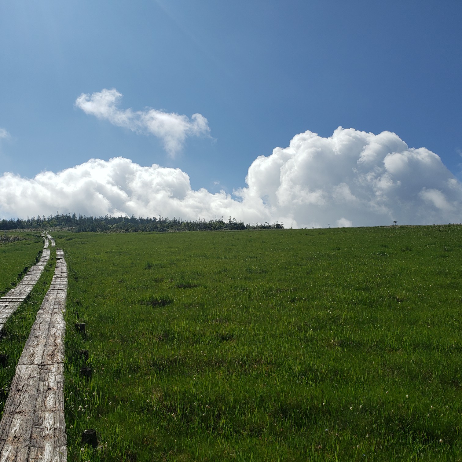 07 02尾瀬ヶ原 アヤメ平 長沢新道 なみだうさこさんの尾瀬 燧ヶ岳の活動データ Yamap ヤマップ