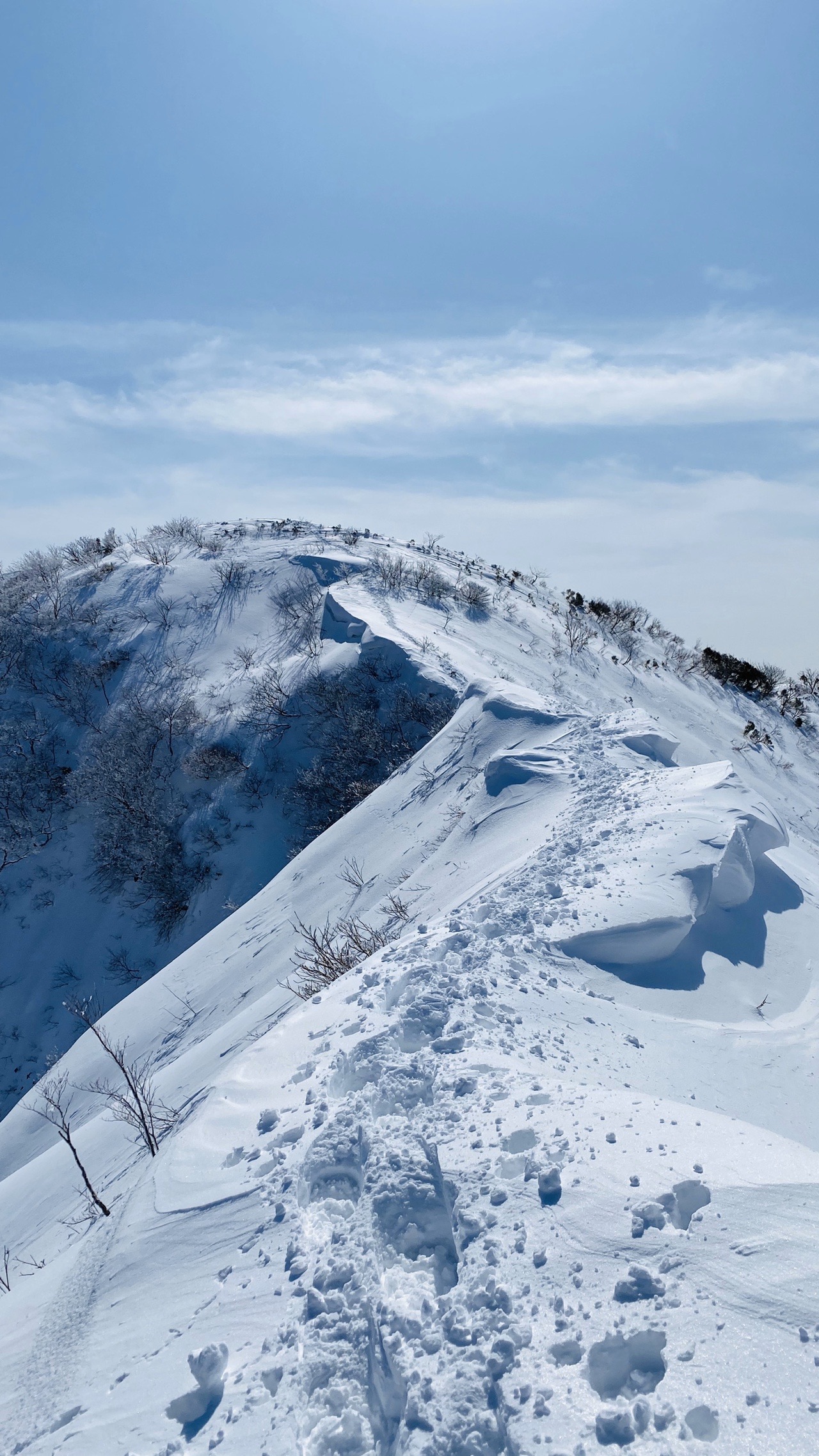日照岳だけに照りつけるような日差し たけさんの日照岳の活動データ Yamap ヤマップ
