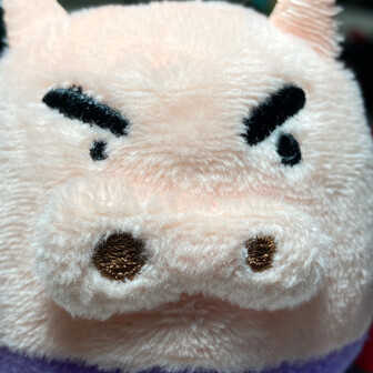 うさぎ🐰の旦那