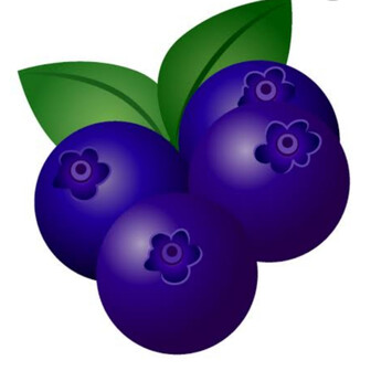 blueberry