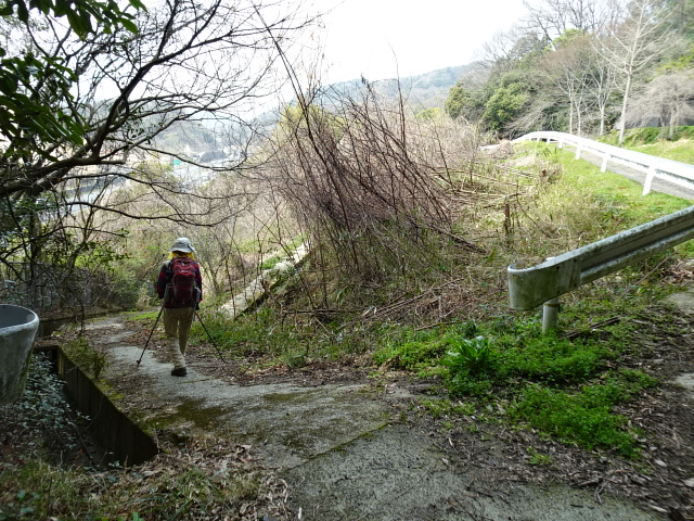 高尾山 とおの山 熊毛の住人さんの太華山の活動日記 Yamap ヤマップ