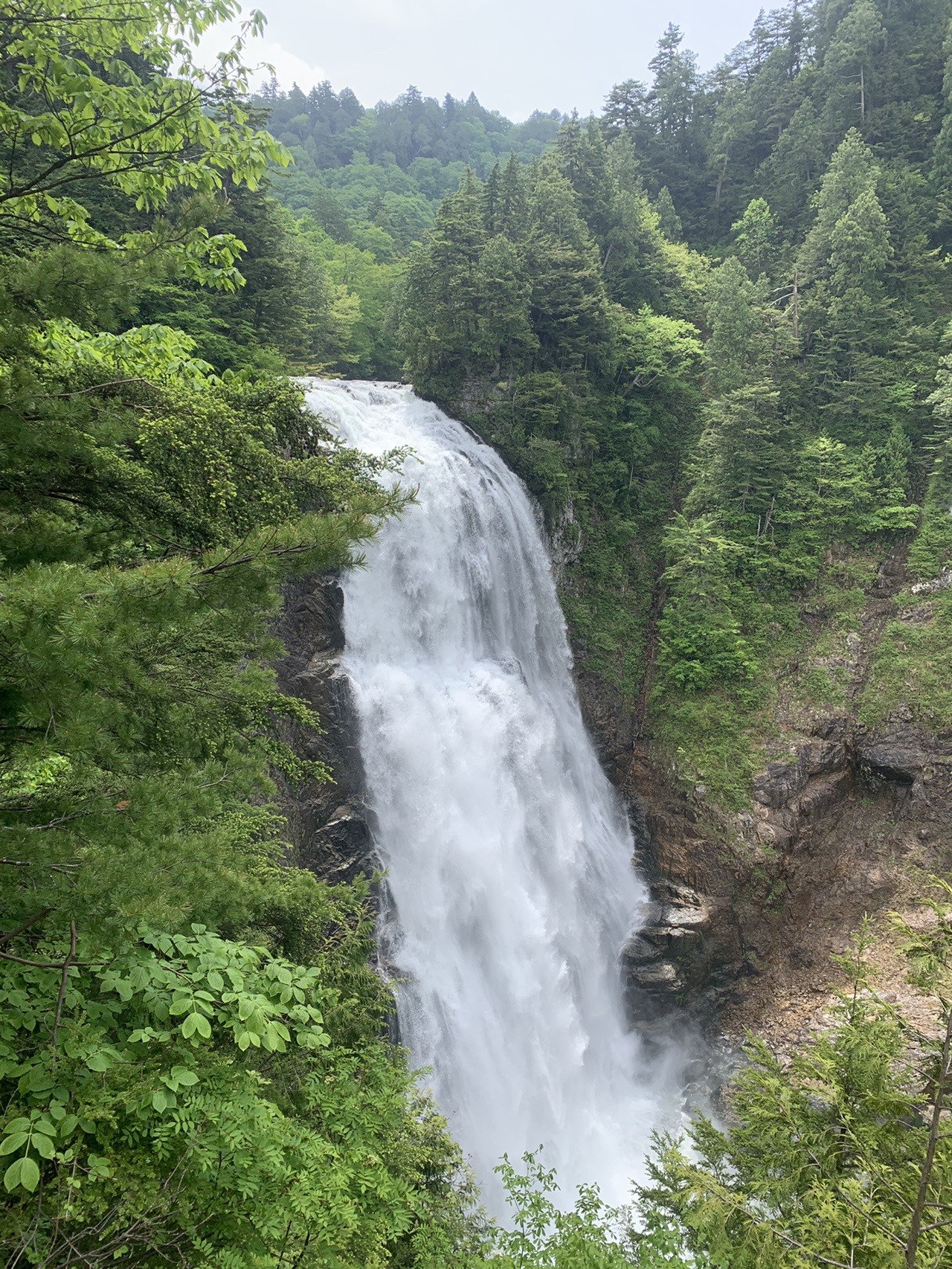 尾瀬周回 鳩待峠 アヤメ平 三条の滝 山ノ鼻 鳩待峠 Su14さんの尾瀬 燧ヶ岳の活動データ Yamap ヤマップ