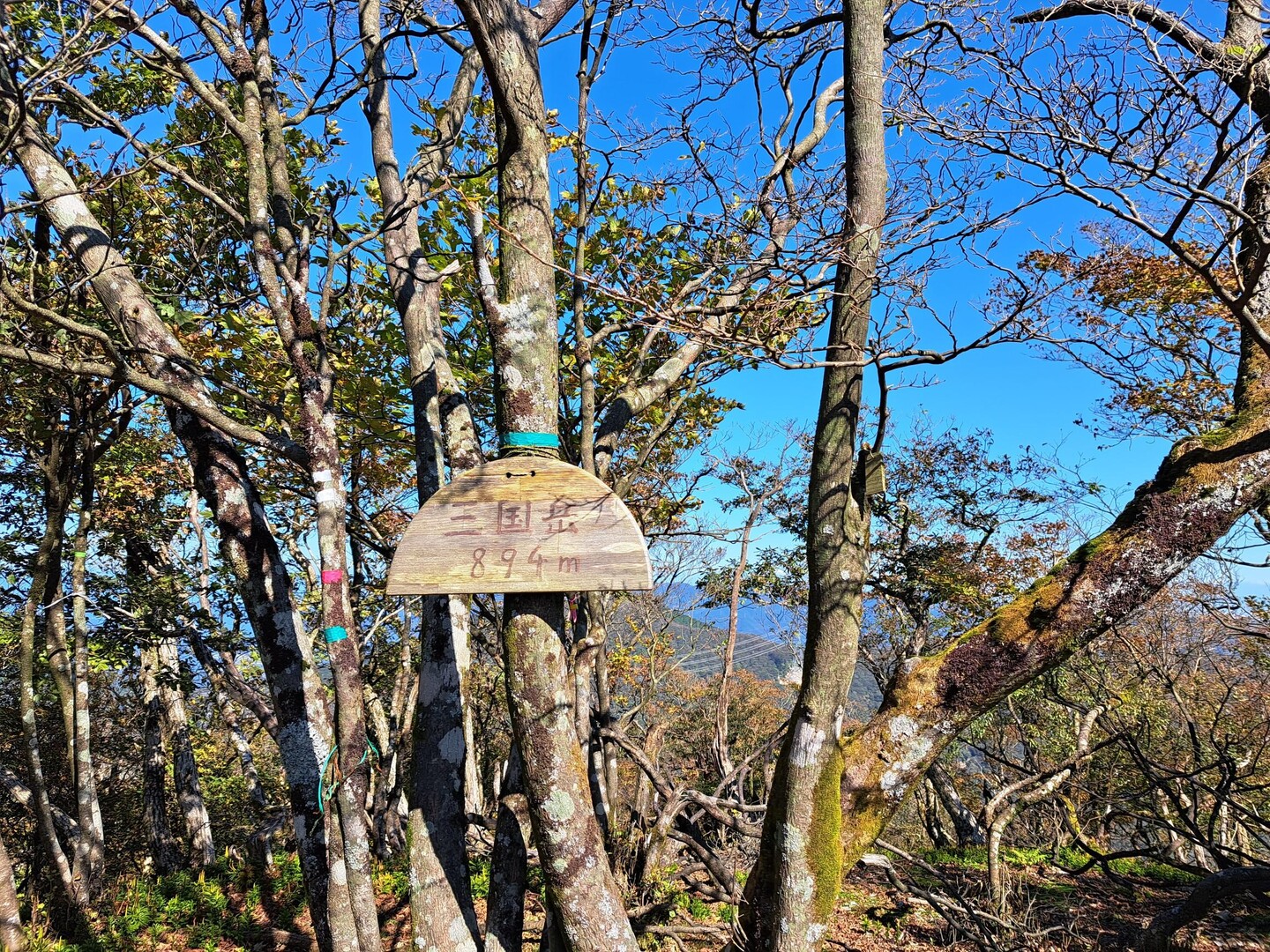 三国岳最高点・三国岳 / あっきーさんの三国岳・烏帽子岳・ダイラの頭の活動データ YAMAP / ヤマップ