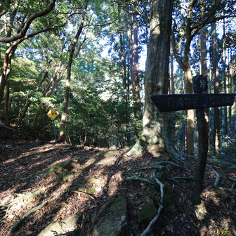 行縢山 ”峠”を越えて、右へ、山を回り込む県民の森方向へ

