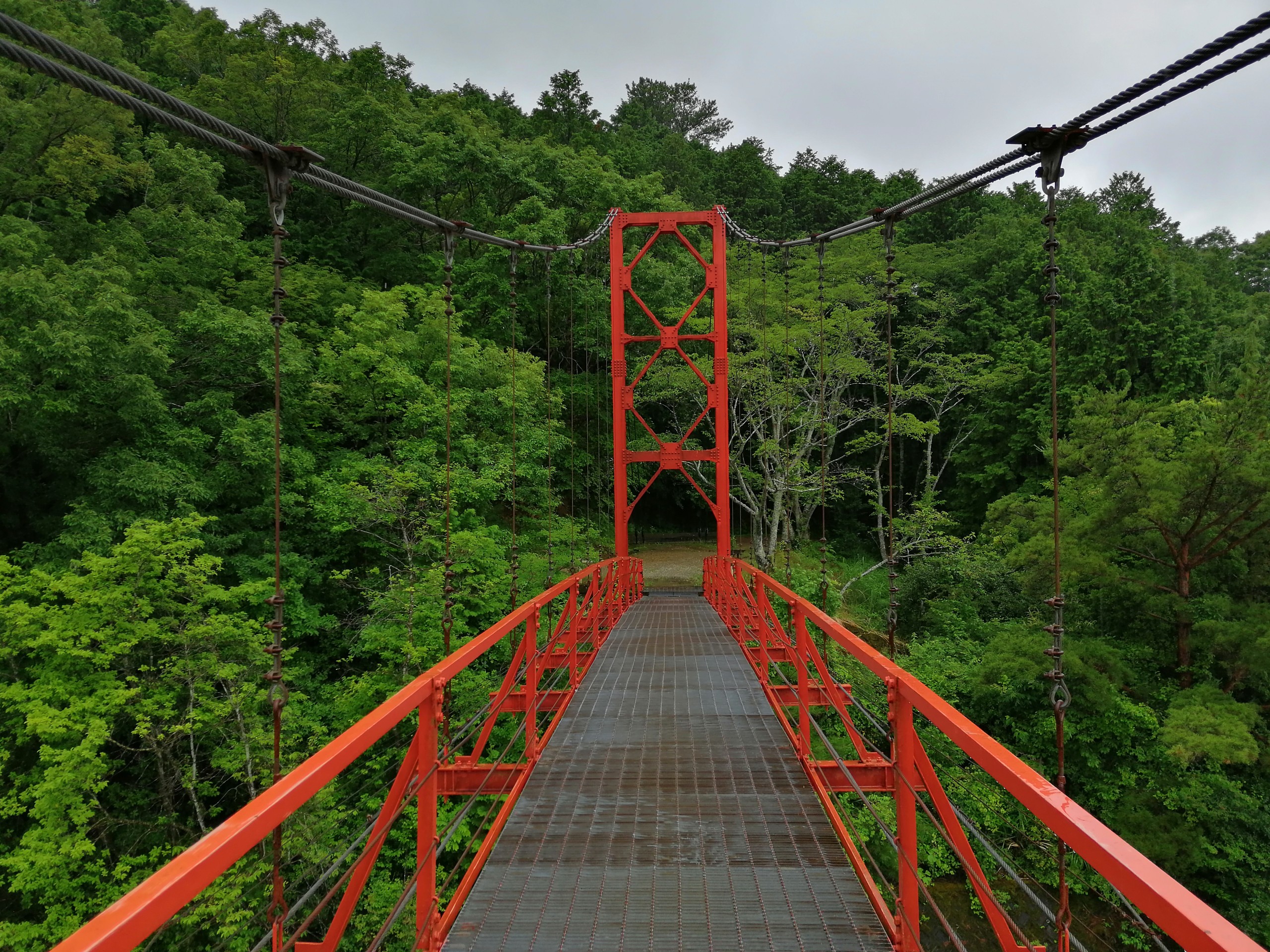 07 04 杉村公園 丸尾橋 Pepeさんの岩湧山 一徳防山 三石山の活動データ Yamap ヤマップ