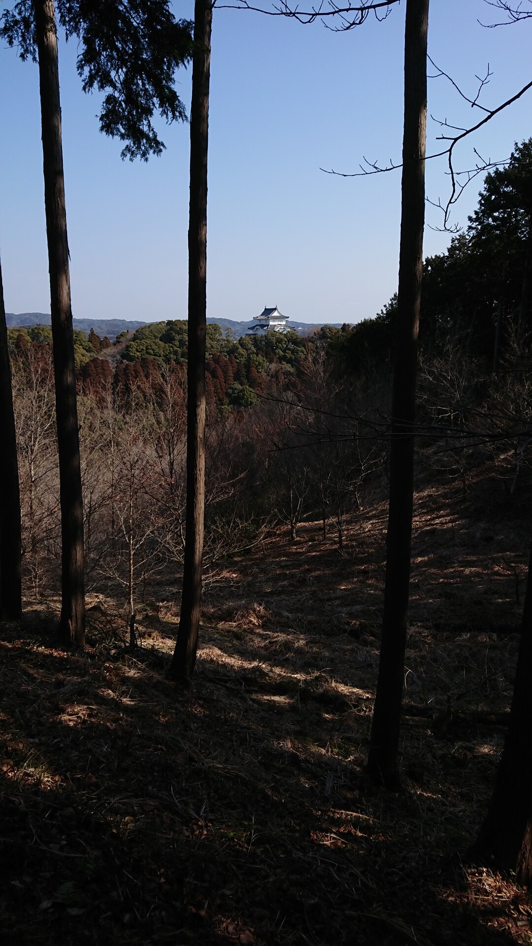 大多喜県民の森 御止川コース(千葉県大多喜町) / ケロさんの笠森グリーンルートの活動データ YAMAP / ヤマップ