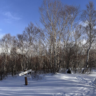 四阿山・根子岳 樹林帯へ