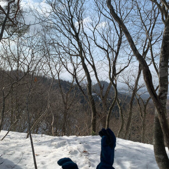 尖山 『とんがり山』見えたから、分岐までもうすぐやね✋