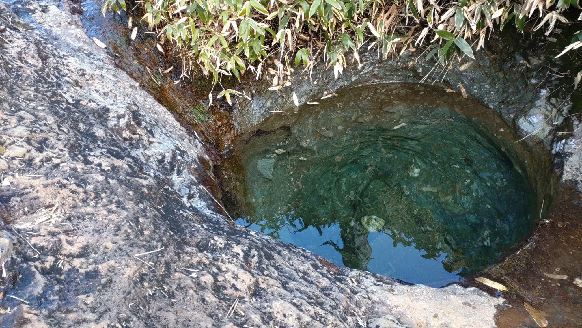 22 04 愛媛県 瓶ヶ森 かめがもり しろやまさんの瓶ヶ森 伊予富士の活動日記 Yamap ヤマップ
