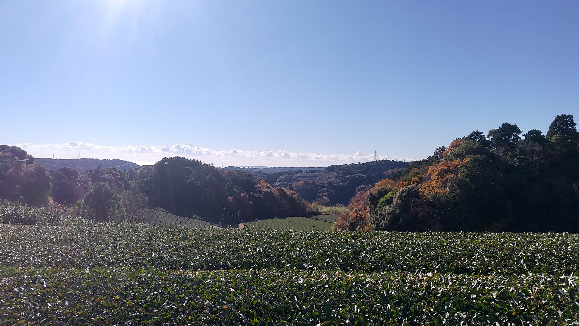 高根山 / ヨシさんの高根山（静岡県牧之原市）の活動データ YAMAP / ヤマップ