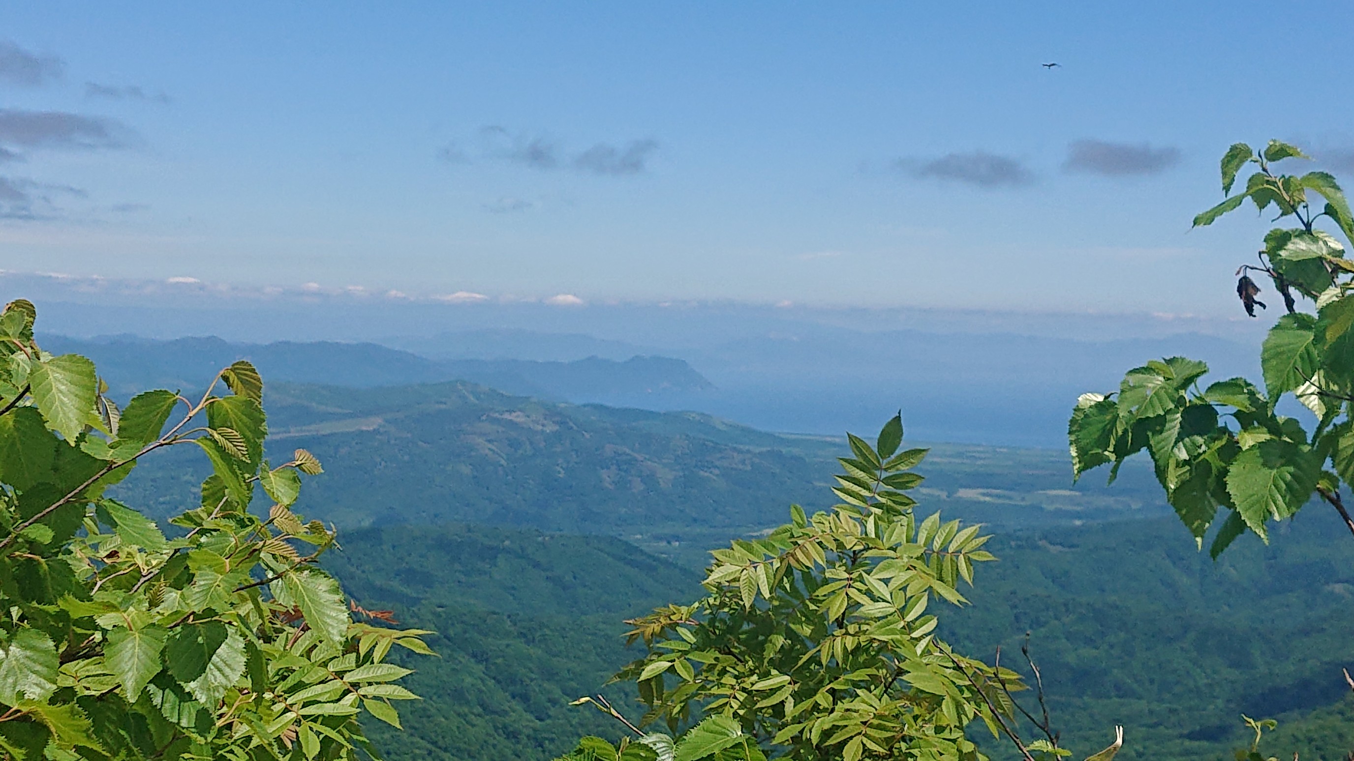 太平洋と日本海を眼下に望む 長万部岳 ふじやんさんの長万部岳の活動データ Yamap ヤマップ
