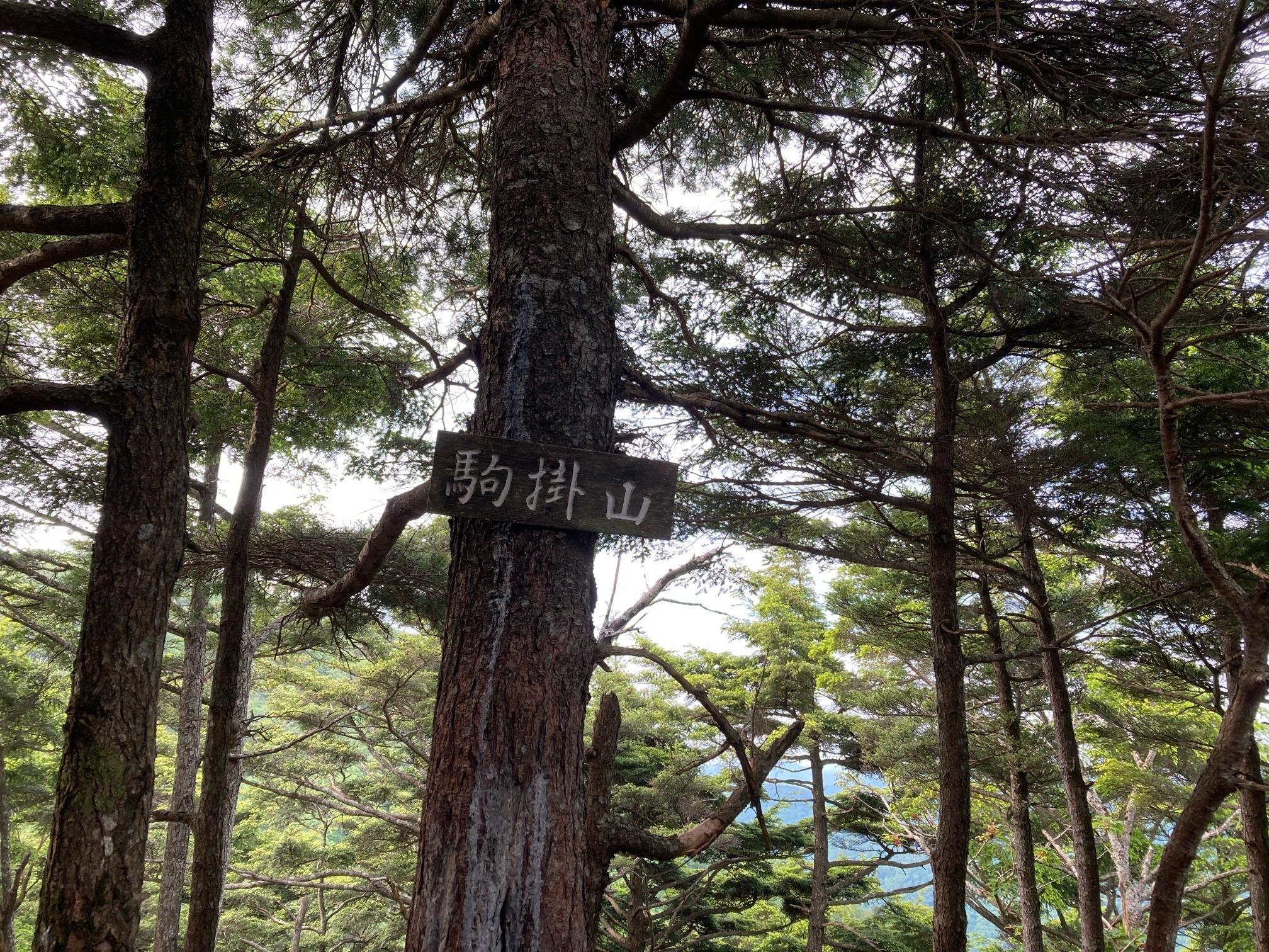 皇海山・袈裟丸山・庚申山 小休止