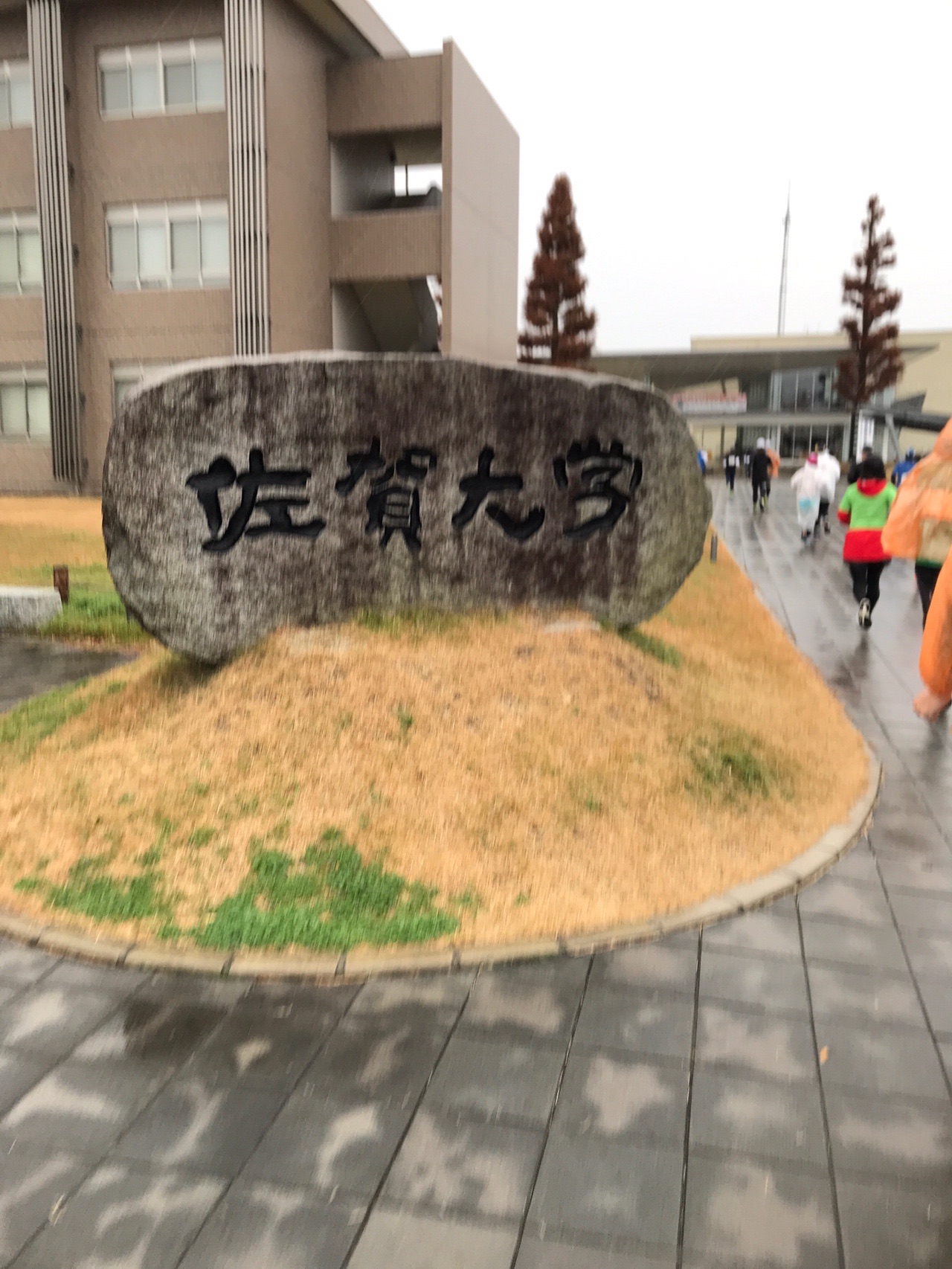 第8回 佐賀大学本庄キャンパスジョギング 30 19 12 22 Tomop8さんの佐賀市の活動データ Yamap ヤマップ