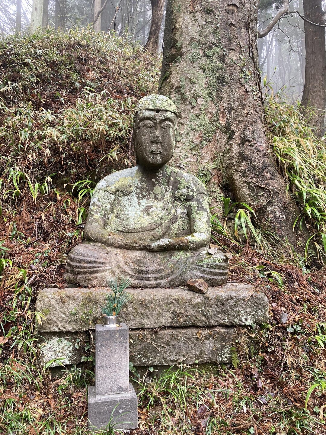 関山山開き / ももさんの関山の活動データ YAMAP / ヤマップ