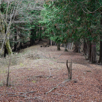 そのままボチボチ歩いていくとコンクリ製のベンチがあった。ここで本日初の登山者とすれ違う。
ここから先、明神峠までの区間で5～6組くらいの登山者とすれ違った。みんな明神峠バス停から歩いてきているのかな。