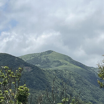 振り返って達磨山