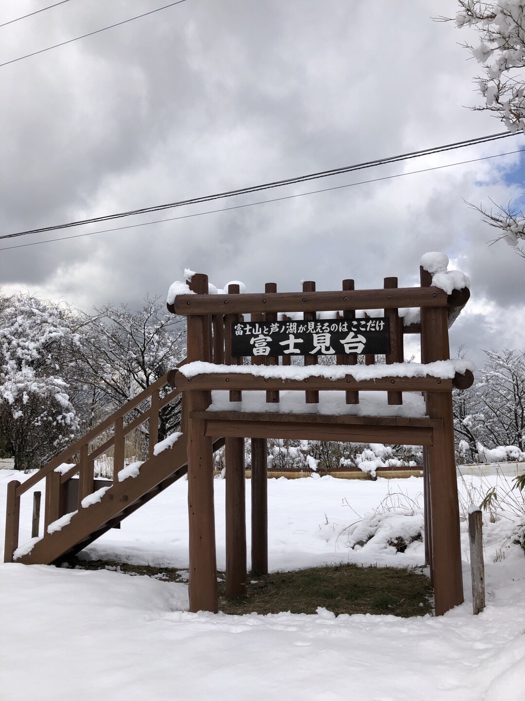 箱根丸岳 雪で倒れた箱根笹との格闘 03 15 サスケさんの箱根山 神山の活動日記 Yamap ヤマップ