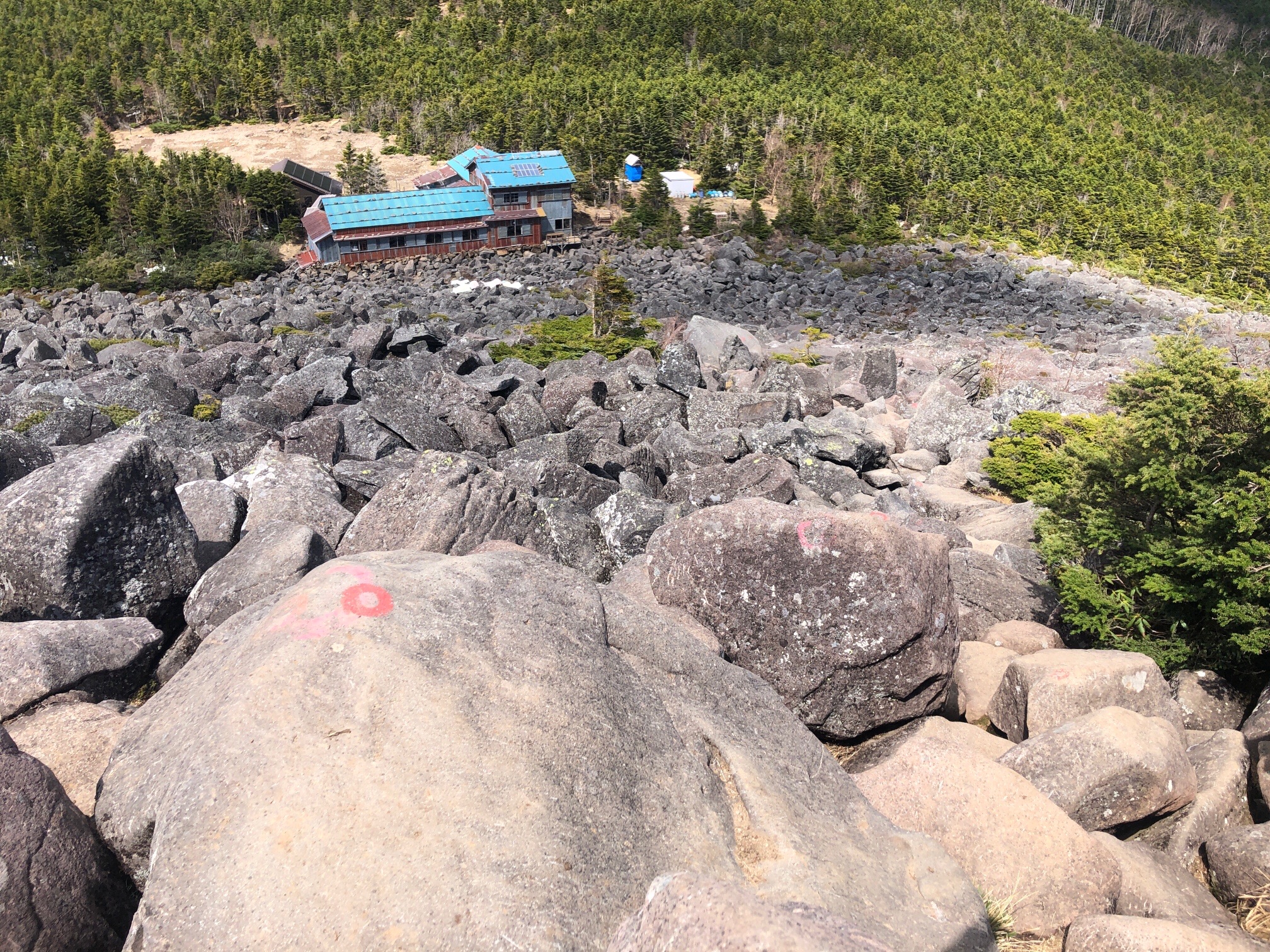 青年小屋まで、アスレチック。
