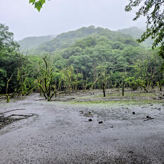また大雨きた😅