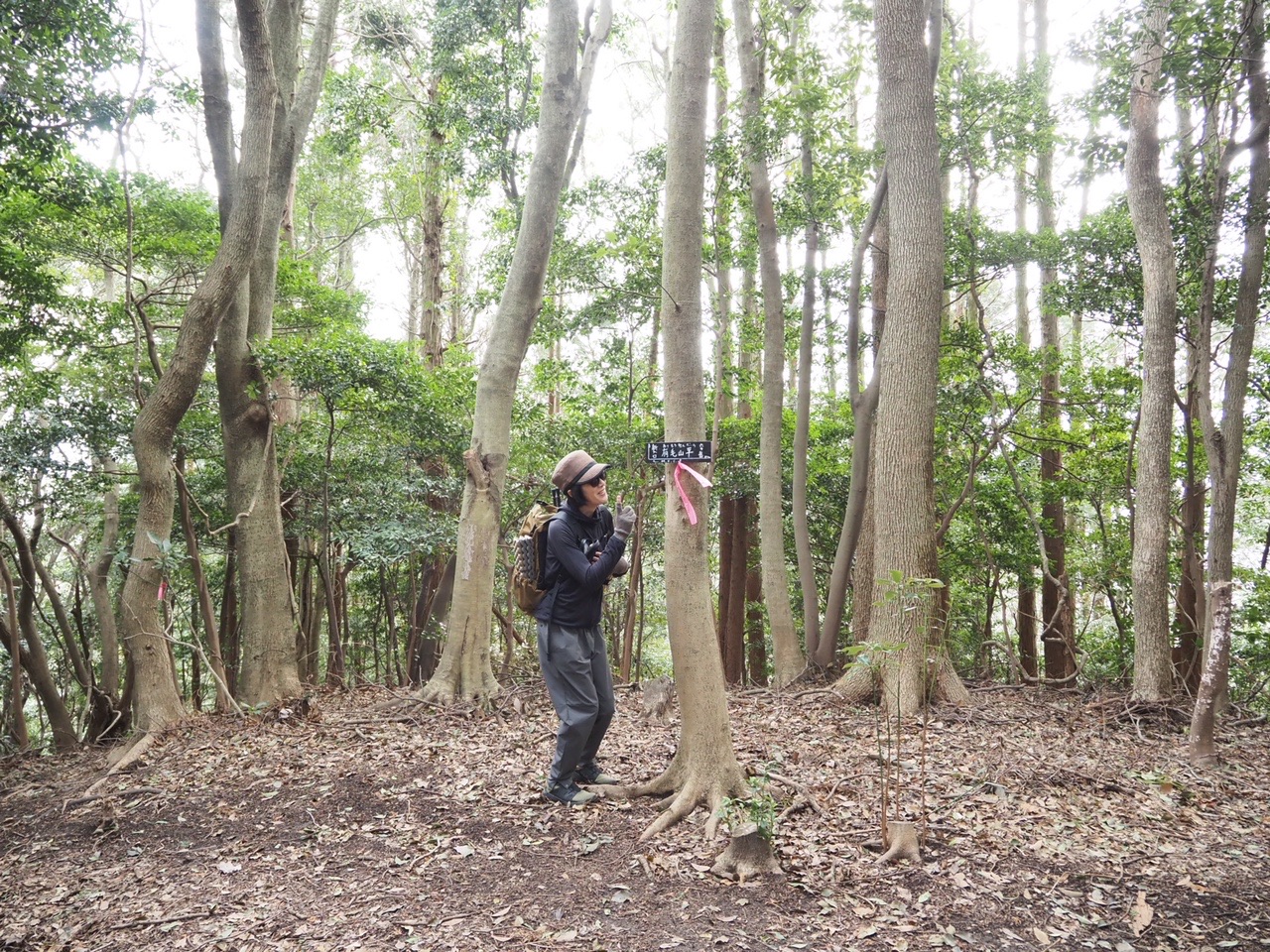 違う違うそうじゃな い 鈴木雅之 Mamepiさんの六ヶ岳の活動データ Yamap ヤマップ