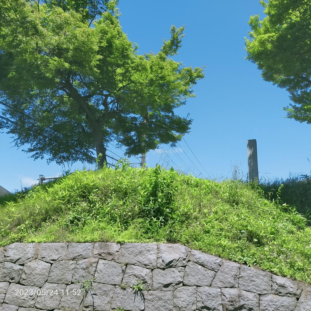 騎西城跡20230524 / よしじいさんの久喜市の活動データ YAMAP / ヤマップ