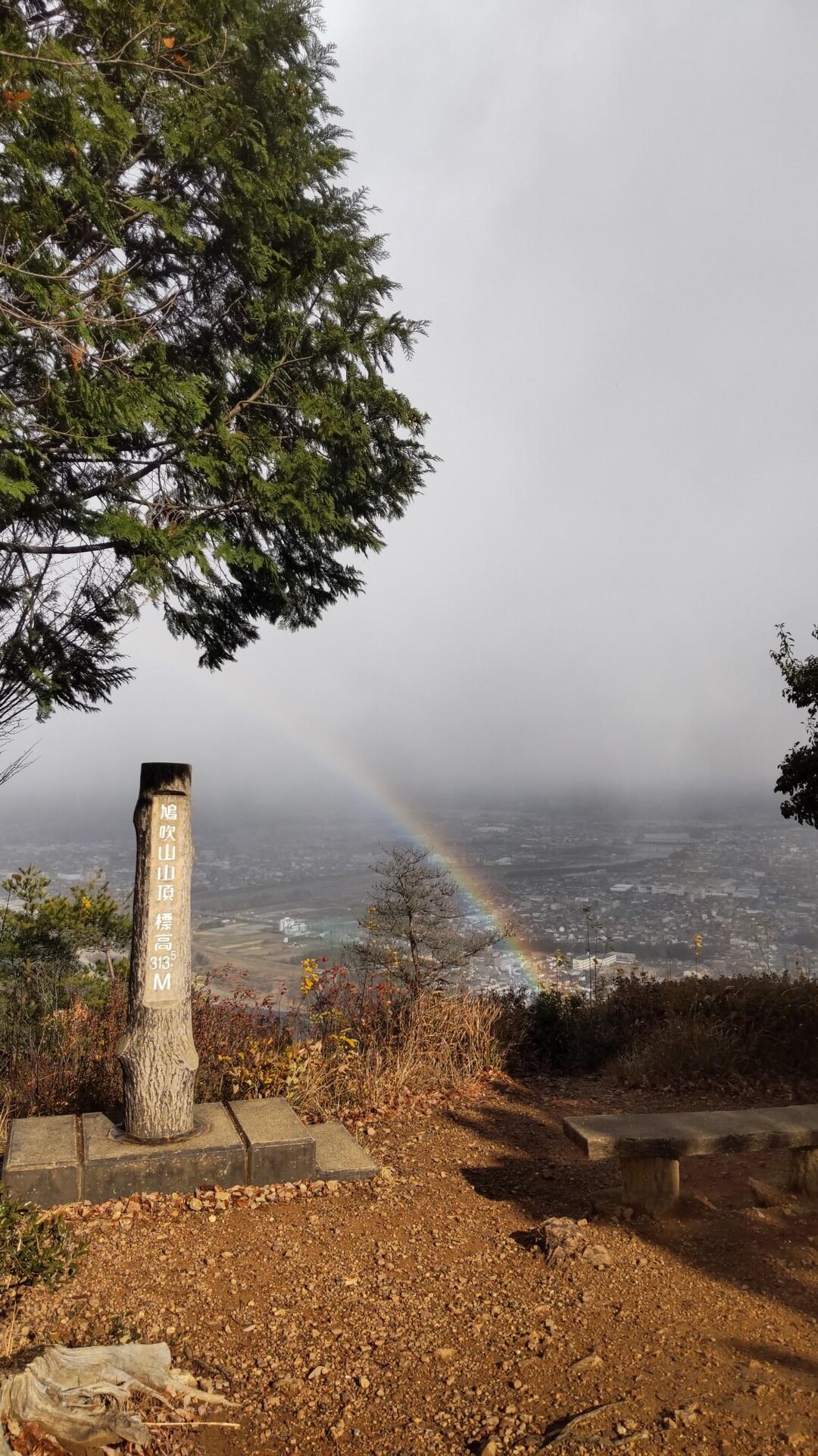 鳩吹山 / オゼマンさんの鳩吹山の活動データ YAMAP / ヤマップ