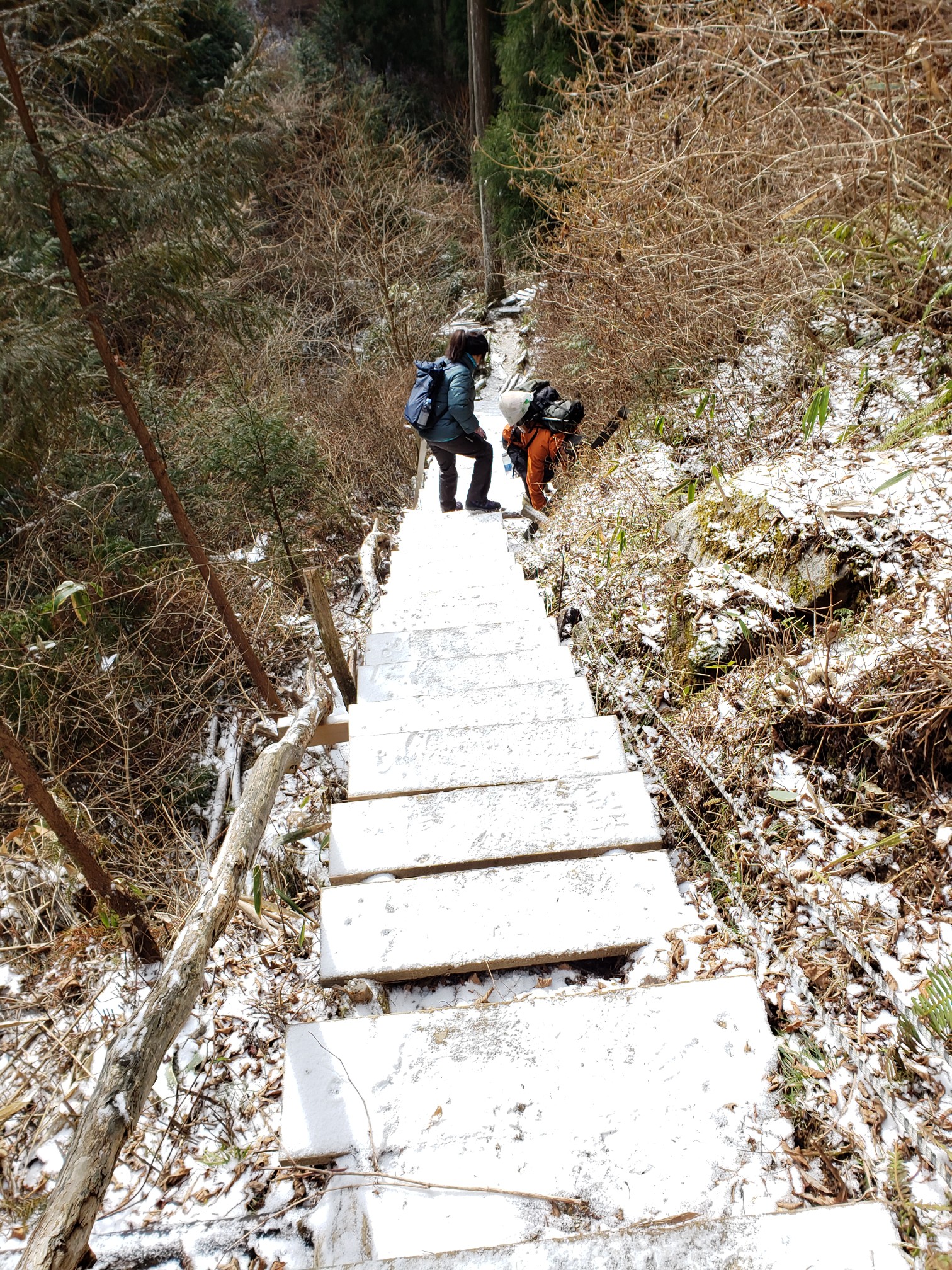 金剛山 文殊尾 寺谷 21ｰ11ｰ29 Kazz0126さんの金剛山 二上山 大和葛城山の活動データ Yamap ヤマップ