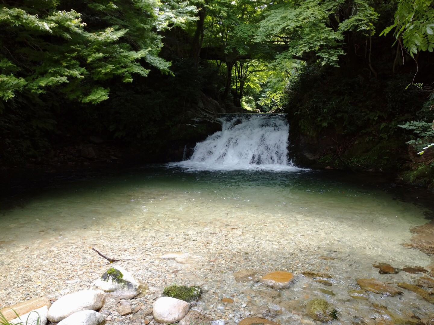 阿井川周辺 渓流釣りへ行ってみた シロクマさんの猿政山の活動日記 Yamap ヤマップ