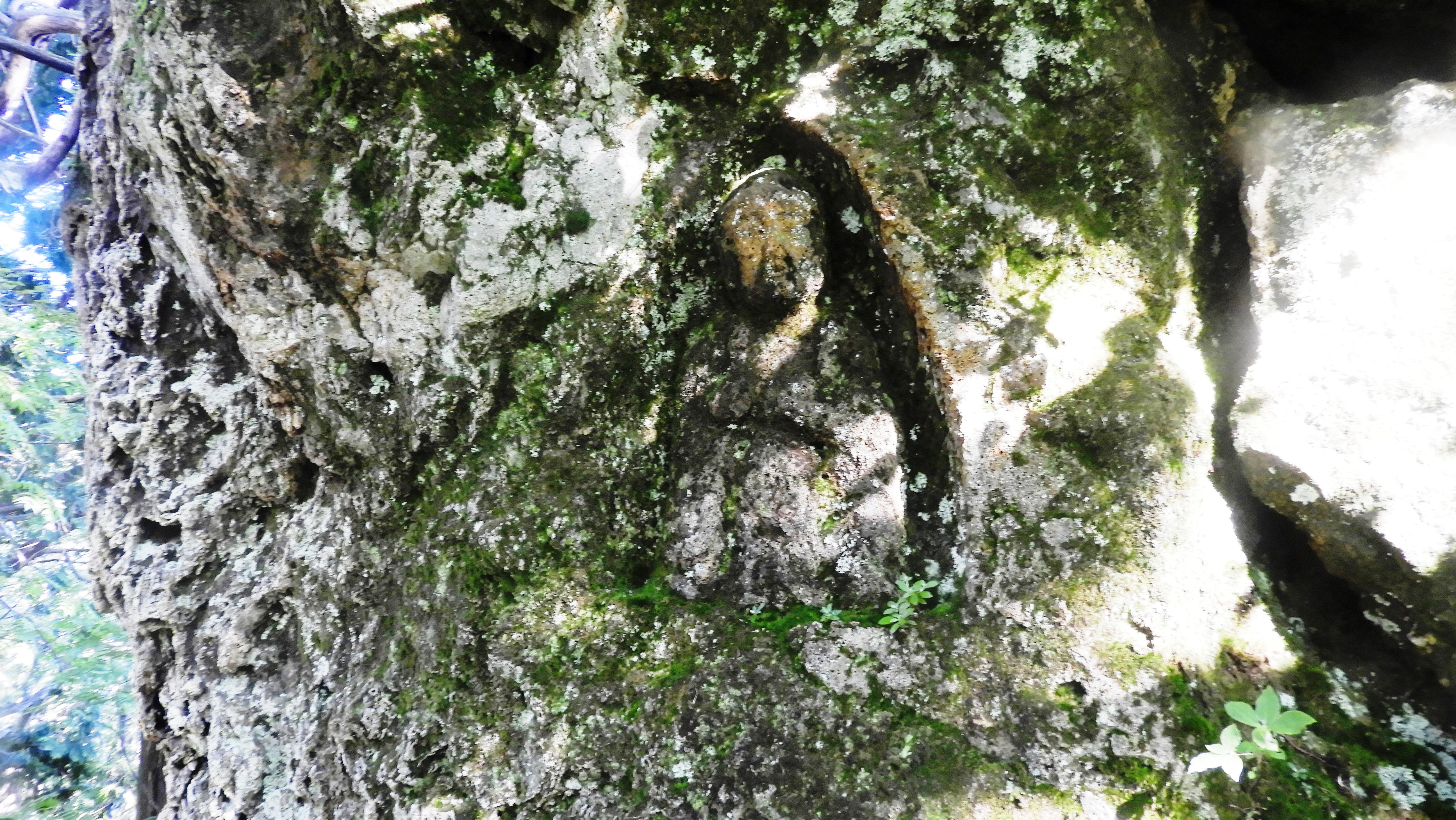 船形山（御所山）・泉ヶ岳・蛇ヶ岳 摩崖仏さんこんにちわ(^^♪