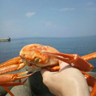 芳那の水晶湖 08 12 しろさんさんの那珂川 烏山大橋 那珂川大橋 の活動データ Yamap ヤマップ