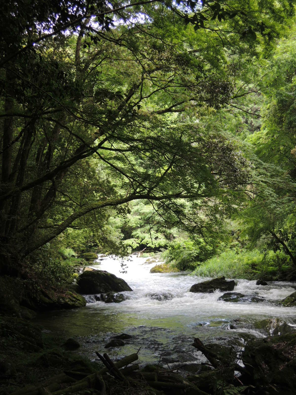 高瀬峡 てつおさんの石ヶ岳の活動データ Yamap ヤマップ