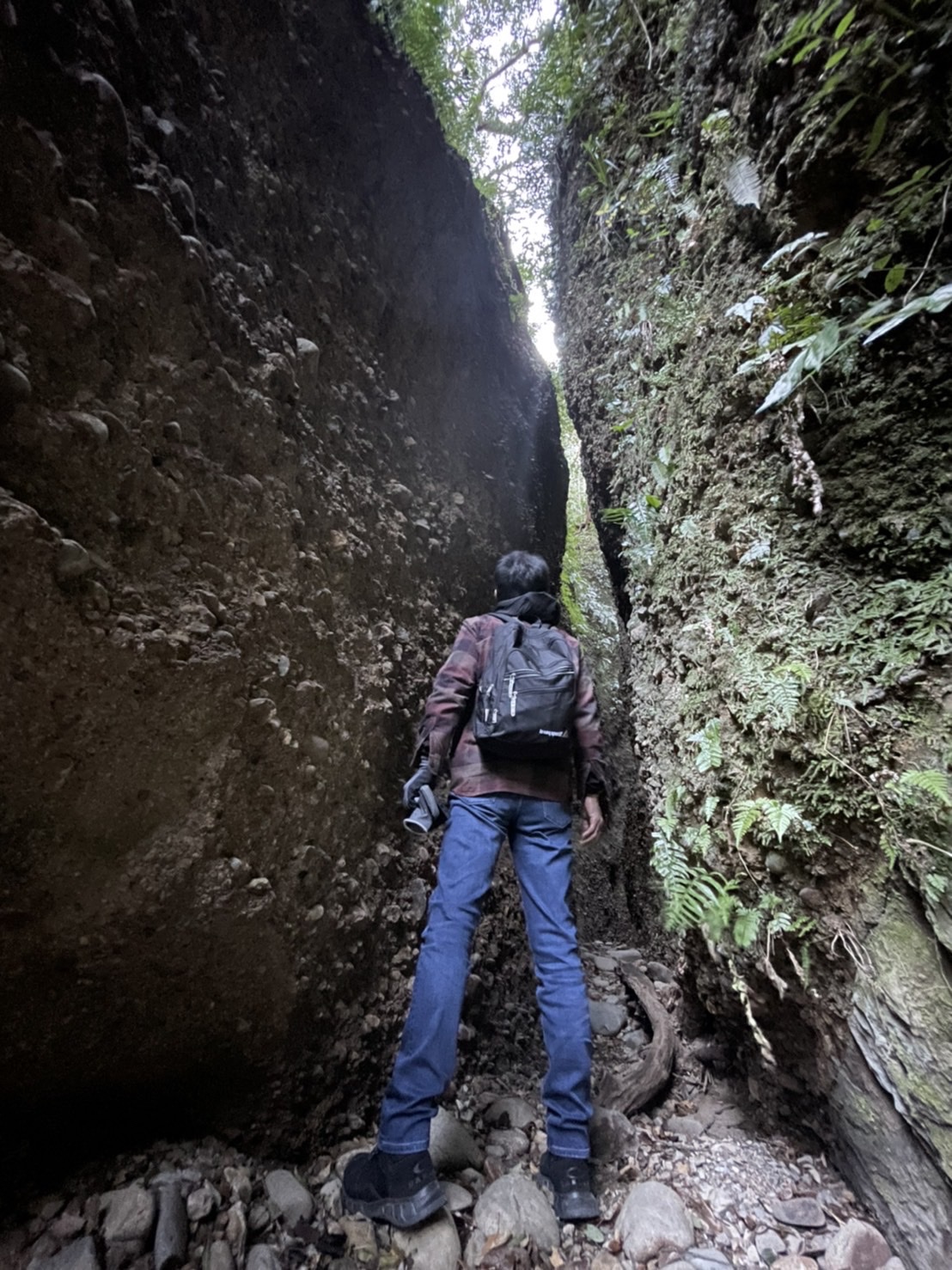 リベンジ小笠山 六枚屏風に驚愕 なるさんさんの小笠山の活動日記 Yamap ヤマップ