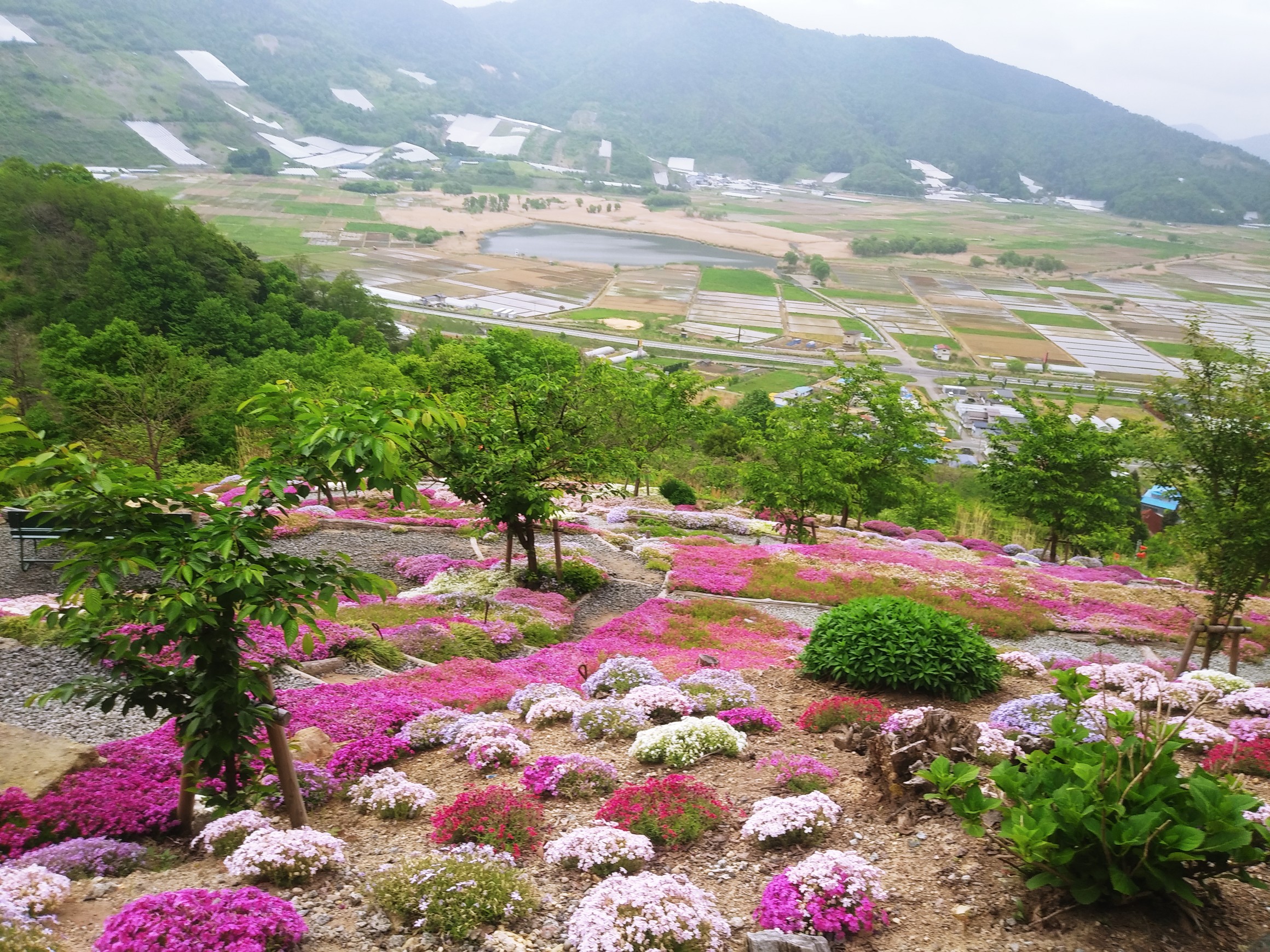 じゃないほうの 秋葉山 南陽市 ままっこさんの秋葉山 南陽市 の活動データ Yamap ヤマップ