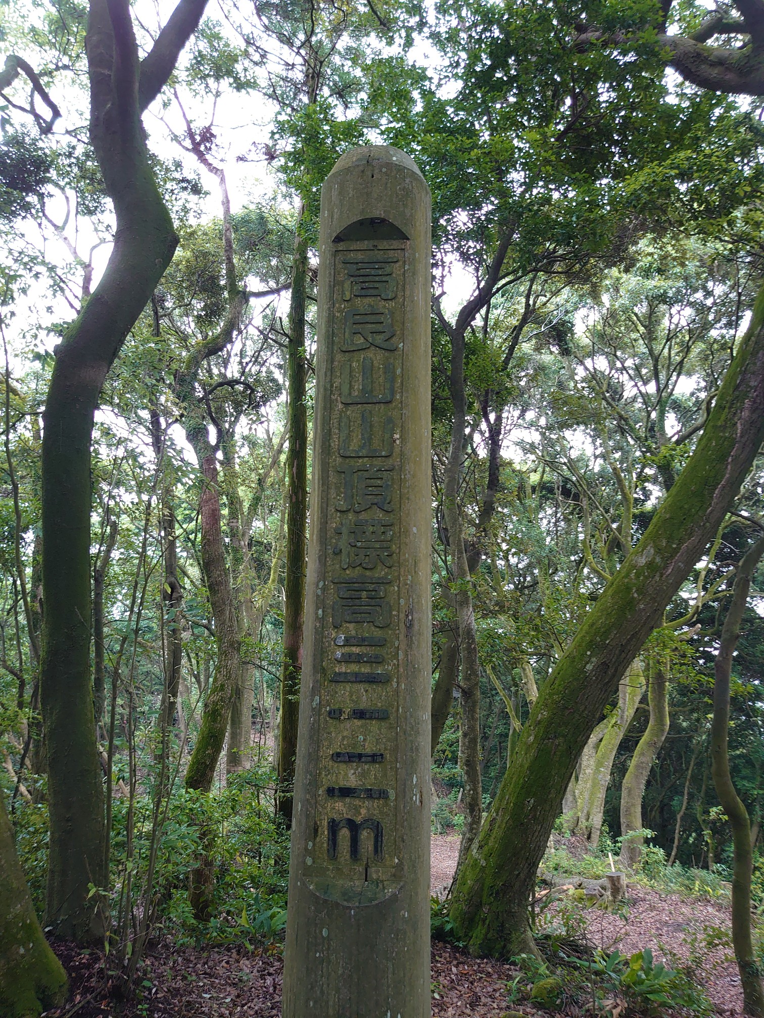 高良大社へ厄払い Yukioさんの高良山 発心山 鷹取山の活動データ Yamap ヤマップ