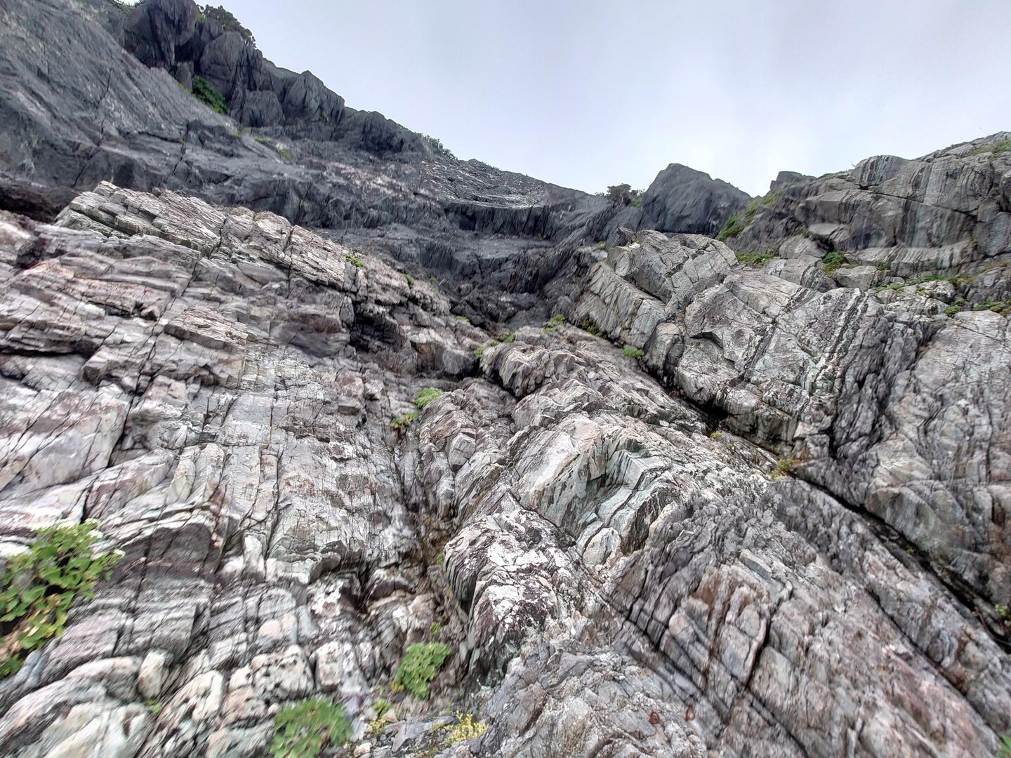 野北ラウンド / むなぞうさんの彦山の活動データ YAMAP / ヤマップ