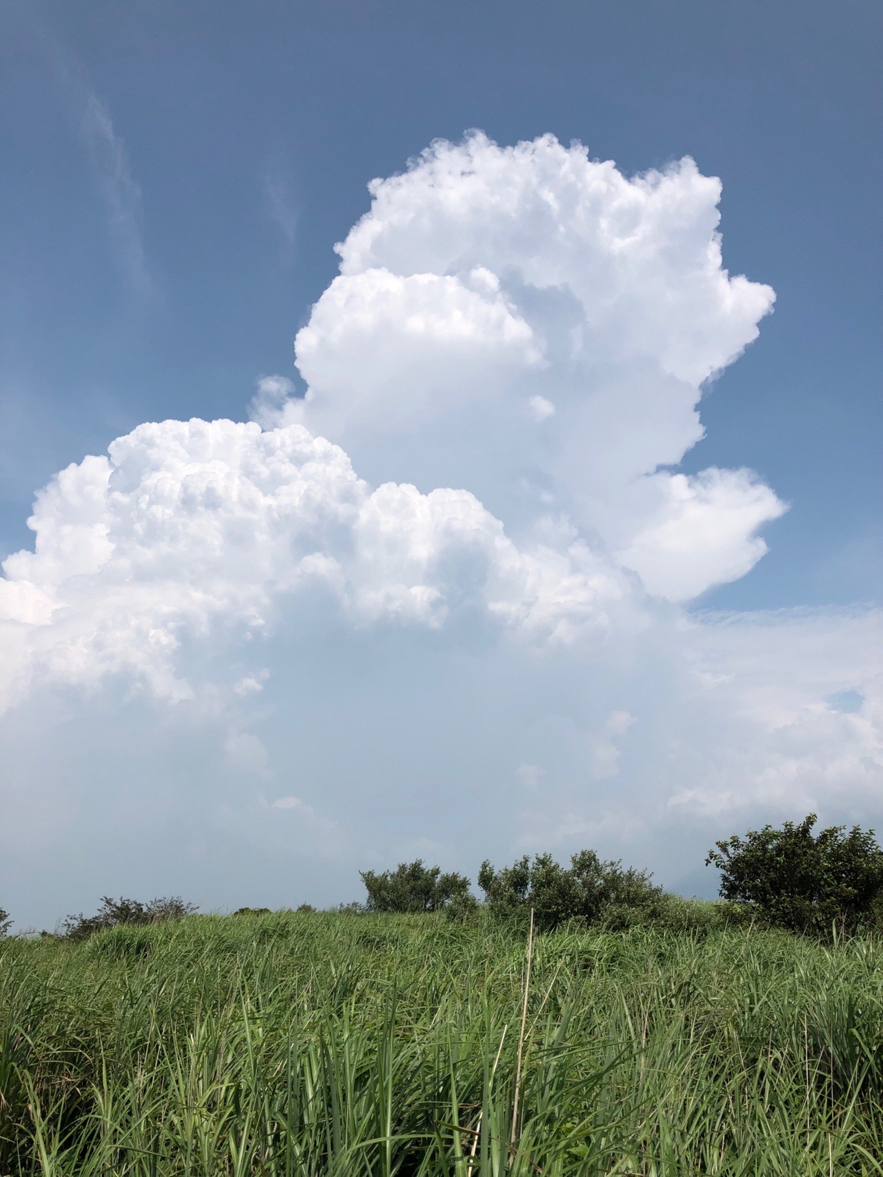 俵山 俵山展望所 はまきょうさんの俵山 冠ヶ岳 清栄山の活動データ Yamap ヤマップ