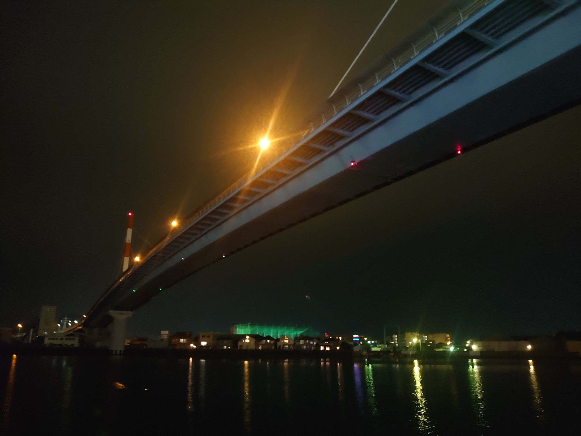 徳島市みなと公園と眉山 さとやまさんの徳島市の活動日記 Yamap ヤマップ