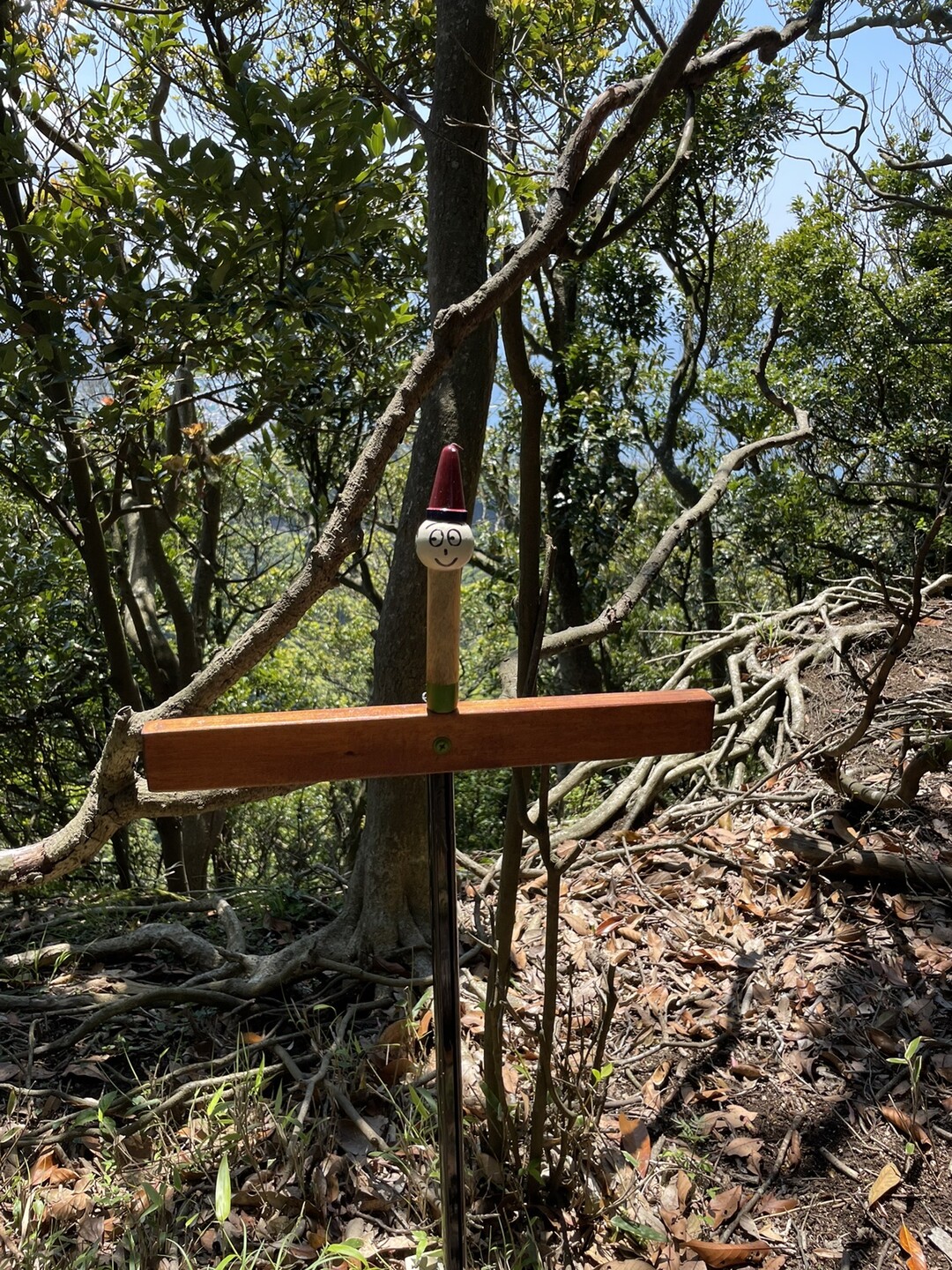 鋸山 車力道コース 鋸山の写真6枚目 Yamap ヤマップ