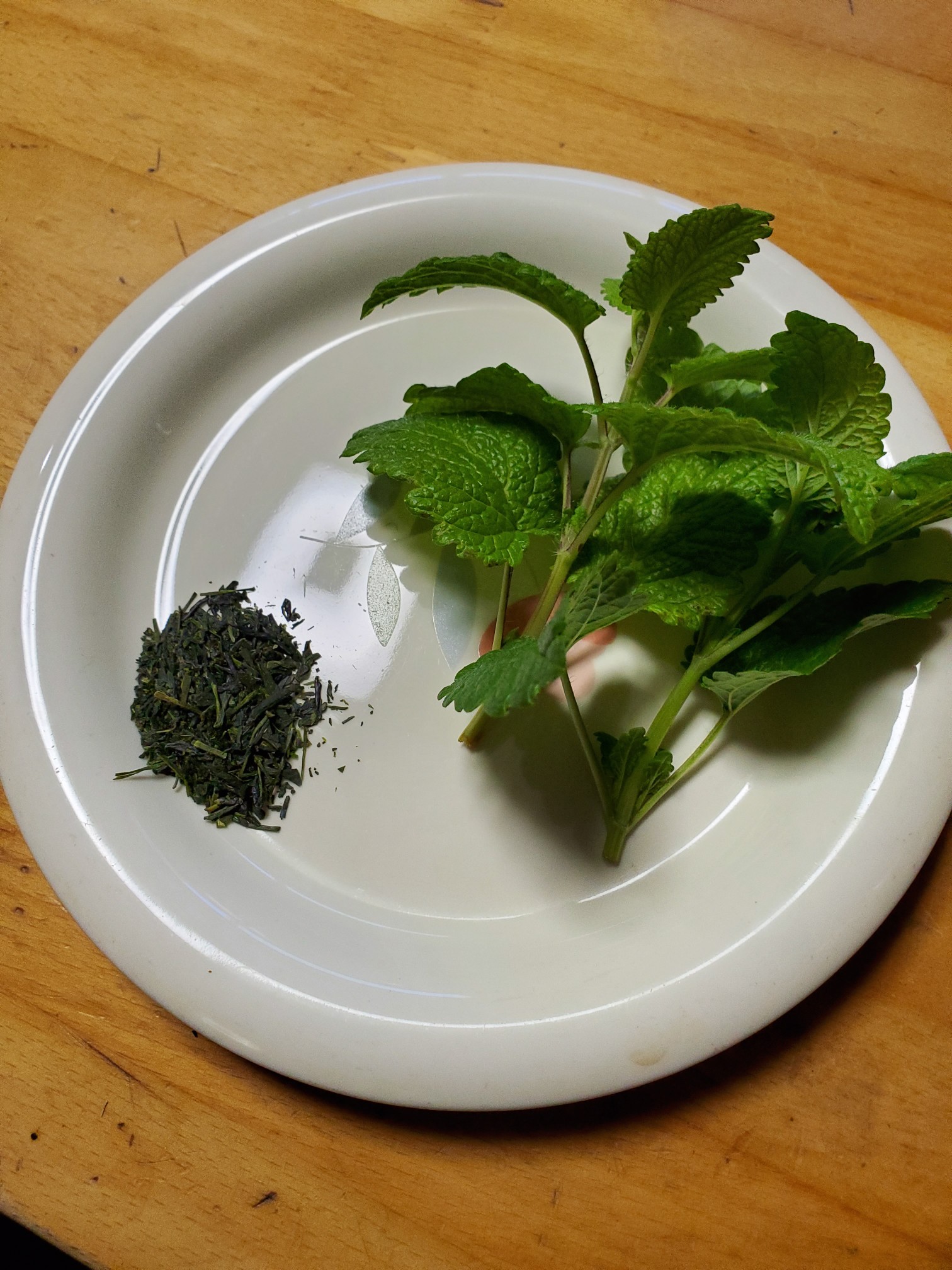 心が静まるハーブティーを 05 10 あどさんの仙台市の活動日記 Yamap ヤマップ