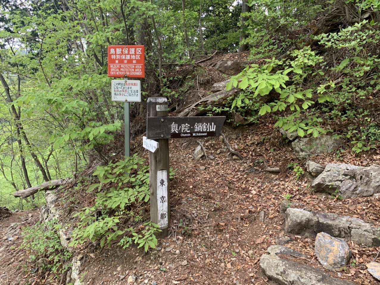御岳山 泊明け 奥の院峰 鍋割山 大岳山 中岩山 鋸山 鞘口山 クロノ尾山 御前山 無間道さんの大岳山 御岳山 御前山の活動日記 Yamap ヤマップ