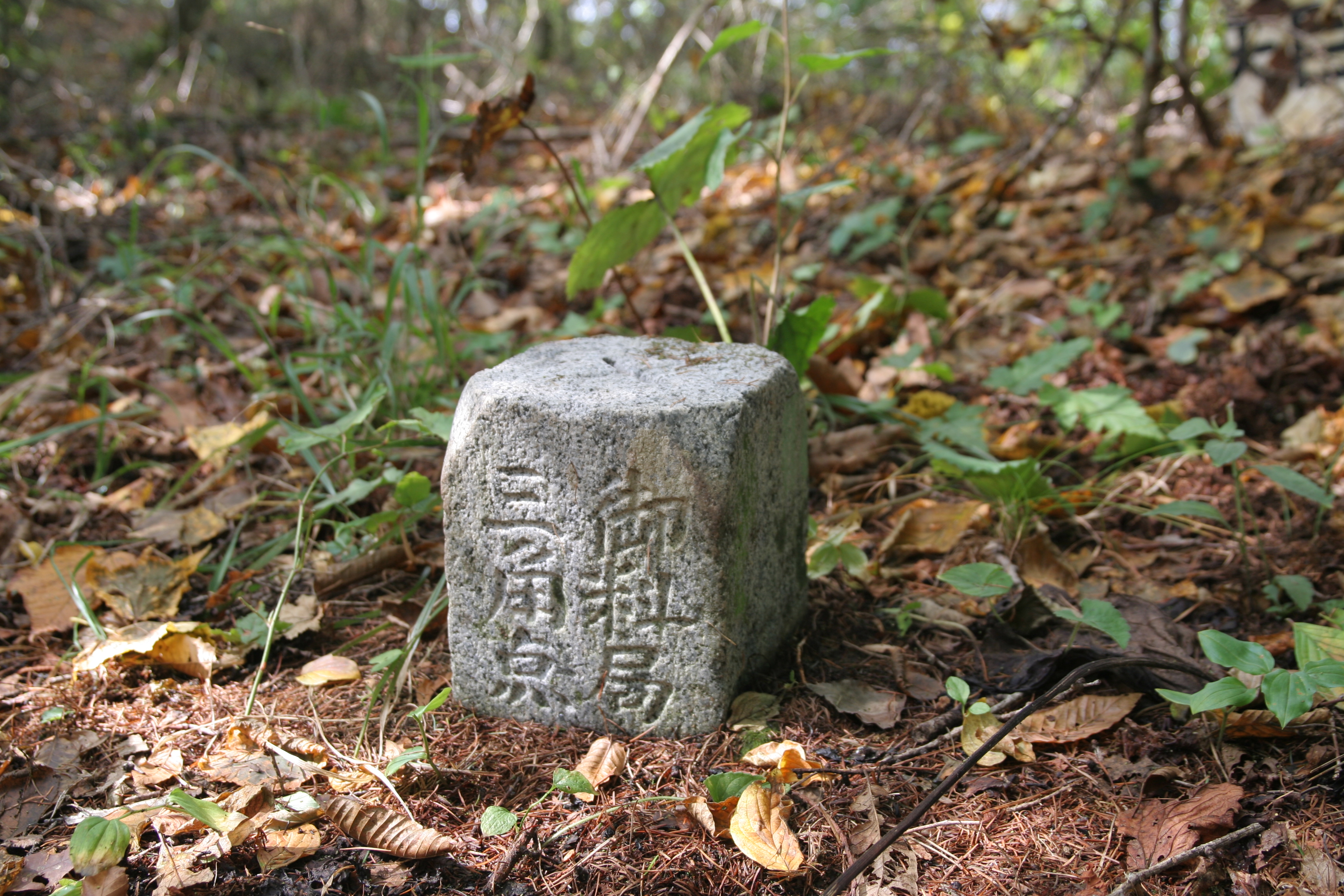 標石 / たらのめさんの登山の活動日記 | YAMAP / ヤマップ 