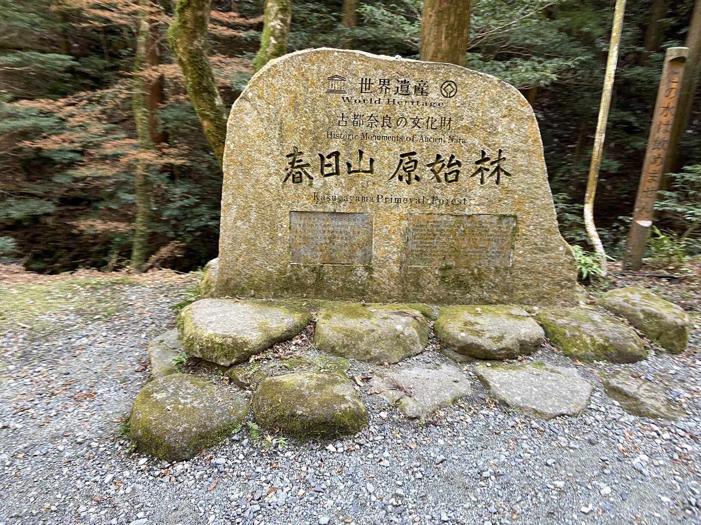 春日山原始林ぐるぐる / あまやんさんの奈良市の活動データ YAMAP / ヤマップ