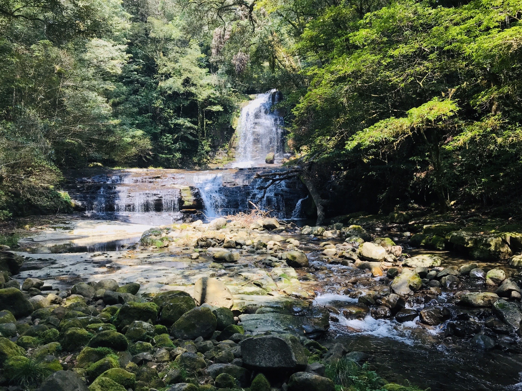 猪八重 いのはえ 渓谷 4 3 4 Ohikioyaさんの小松山 宮崎県 の活動データ Yamap ヤマップ