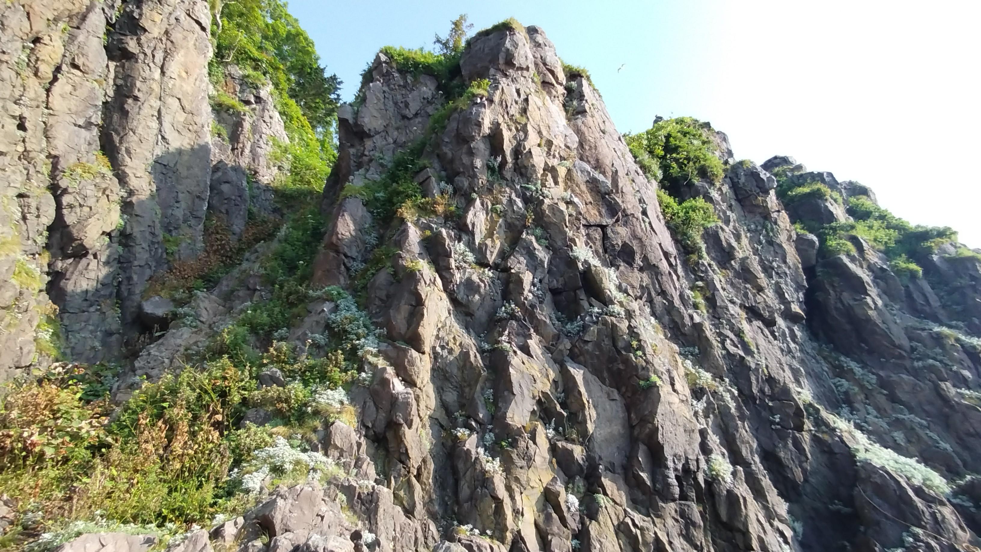 観音岩の高巻き。
左の谷状の斜面を登っていきます。結び目のある残置ロープが下から上まであります。