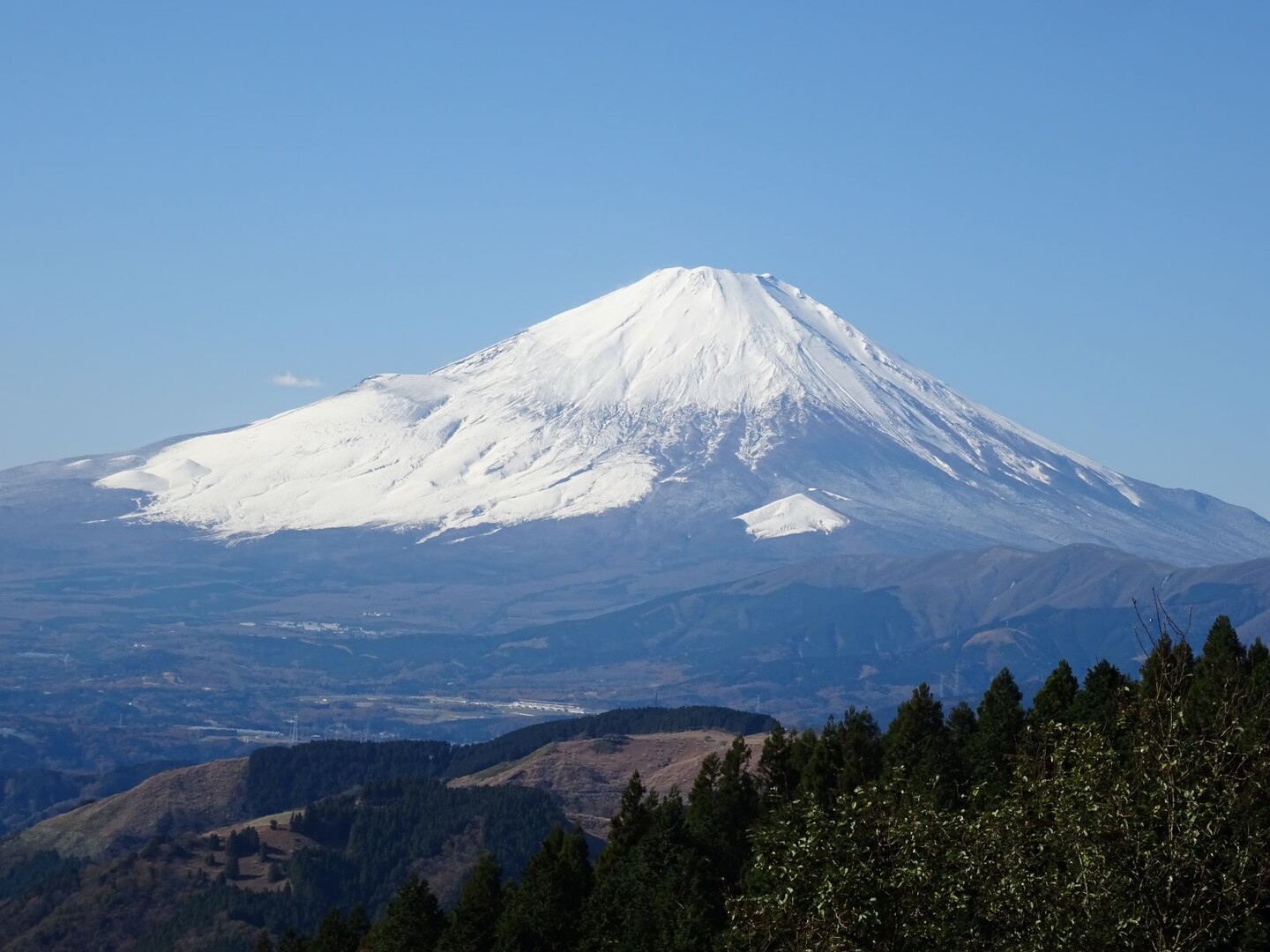 高松山(松田町・山北町)に登りました。20191130 / ニ歩三歩さんの高松山・大野山の活動データ YAMAP / ヤマップ