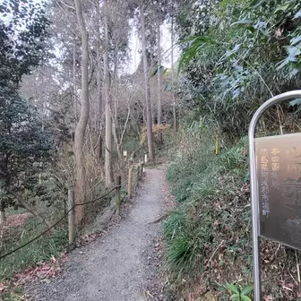 高幡不動山内八十八ケ所巡拝路 / 静吉chさんのウォーキングの 高幡不動山内八十八ケ所巡拝路 / 静吉chさんのウォーキングの
