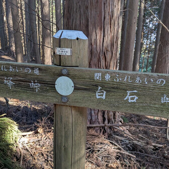 堂平山・笠山（乳房山）・大霧山 峠から峠へ
今日はいくつの峠と出会えるのかな